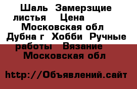 Шаль “Замерзщие листья“ › Цена ­ 3 000 - Московская обл., Дубна г. Хобби. Ручные работы » Вязание   . Московская обл.